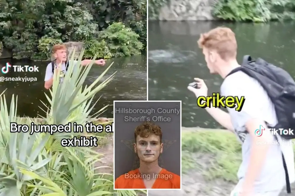 TikToker bị cảnh sát bắt vì nhảy vào chuồng cá sấu quay clip TikToker bi canh sat bat vi nhay vao chuong ca sau quay clip