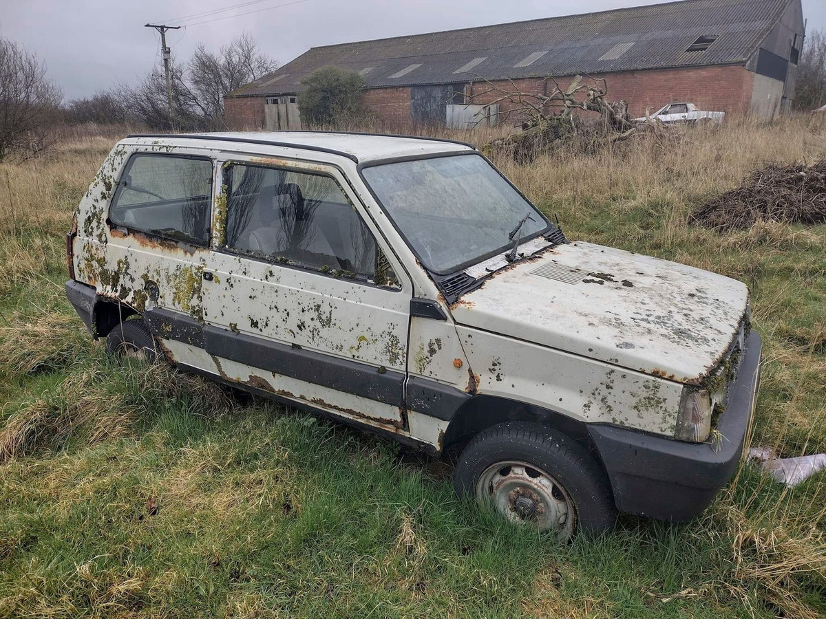 Một số bị bao phủ bởi nấm mốc và bùn.