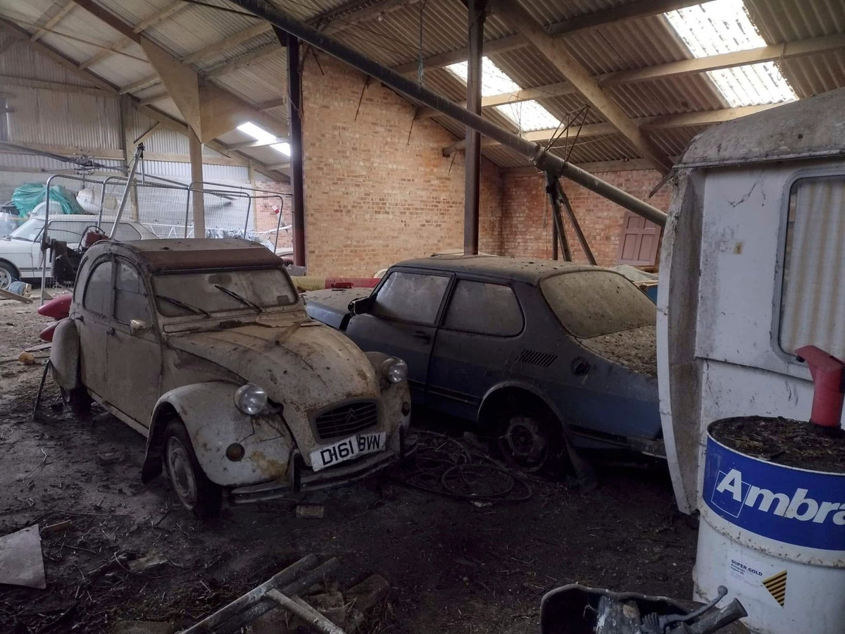 Hàng chục chiếc xe cổ hiếm được tìm thấy trên khắp khu trang trại bỏ hoang.