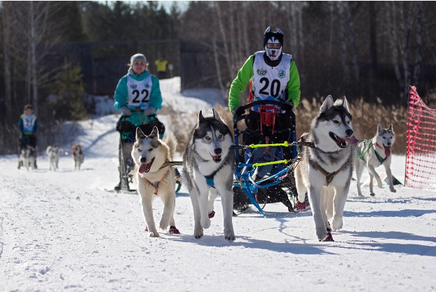 8. Tyumen: Thủ đô dầu khí của Nga có nhiều ngày nắng hơn trong một năm so với thủ đô Moscow. Và thời tiết ở đây không quá thay đổi. Tháng lạnh nhất là tháng Giêng, với nhiệt độ trung bình khoảng -17 °C.
