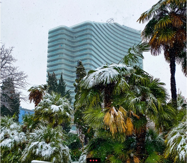 5. Sochi: Trước Thế vận hội Sochi năm 2014, mọi người nói đùa rằng đây là Thế vận hội mùa đông cận nhiệt đới đầu tiên. Tại chính thành phố Sochi, nhiệt độ thực sự có thể là +10°C vào mùa đông và hiếm khi nhiệt độ giảm xuống 0 hoặc những cây cọ bị phủ một lớp tuyết và nhanh chóng tan chảy.