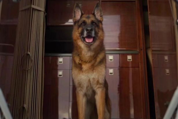 Chu cho giau nhat the gioi song trong biet thu cua Madonna-Hinh-2