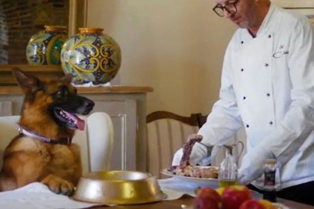 Chu cho giau nhat the gioi song trong biet thu cua Madonna-Hinh-3