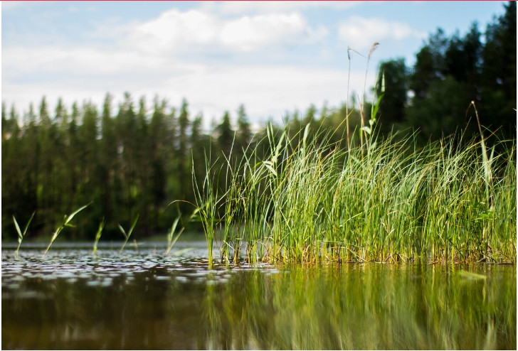Nhung mon an ky la trong am thuc cua nguoi Nga co-Hinh-3