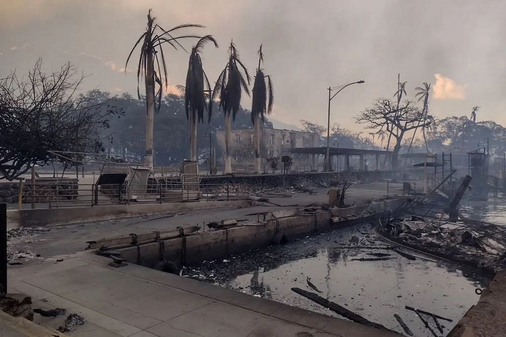 Mỹ: Cháy rừng như “địa ngục” thiêu rụi thị trấn ở Hawaii - Hình 3 My: Chay rung nhu “dia nguc” thieu rui thi tran o Hawaii-Hinh-3