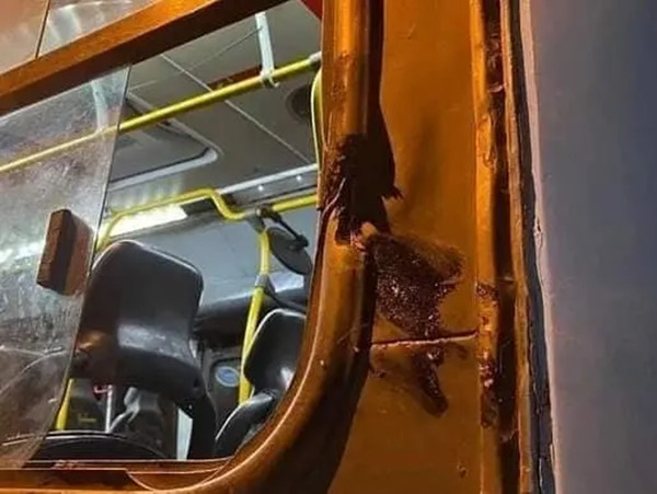 Thò đầu ra cửa sổ xe buýt, nữ sinh 13 tuổi thiệt mạng - Hình 2 Tho dau ra cua so xe buyt, nu sinh 13 tuoi thiet mang-Hinh-2