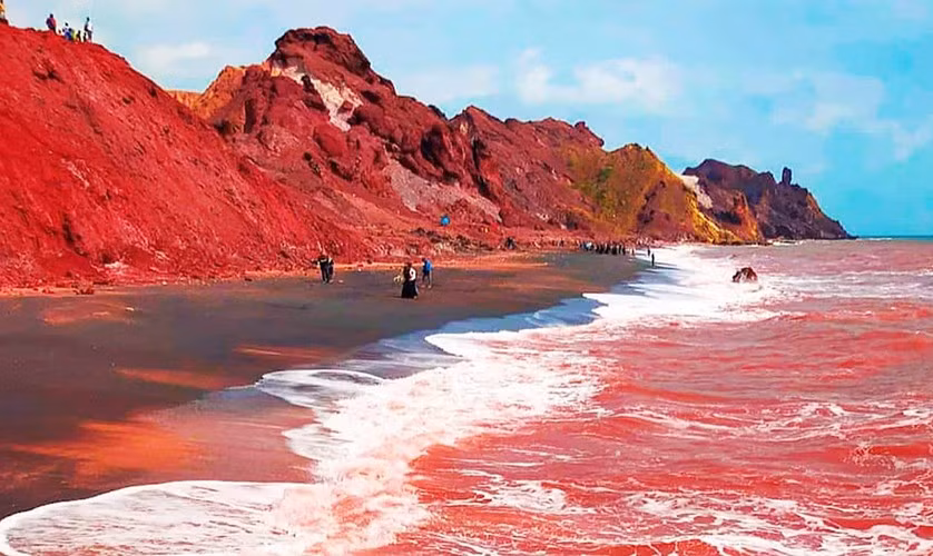 Me man nhung bai bien mau me nhat Trai Dat-Hinh-3