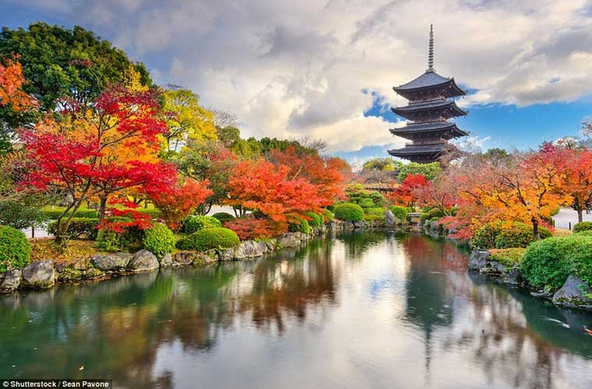 Phong cảnh hữu tình của chùa Toji ở cố đô Kyoto của Nhật Bản. Đây là một trong những ngôi chùa đẹp nhất thế giới, thu hút hàng nghìn khách du lịch mỗi năm.