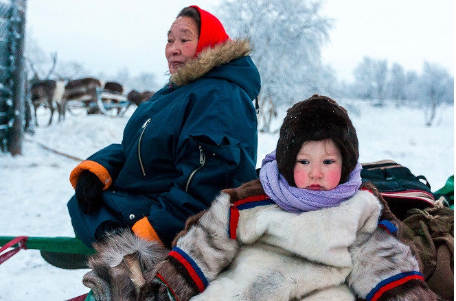 Người Nenet: Những người du mục chính của Siberia và Bắc Cực thuộc Nga là người Nenet (còn gọi là Samoyeds và Samodian). Họ sinh sống trên lãnh thổ từ Bán đảo Kola đến Taymyr. Nhìn chung, có khoảng 50.000 người Nenet và phần lớn làm việc ở vùng lãnh nguyên, tham gia chăn nuôi tuần lộc.