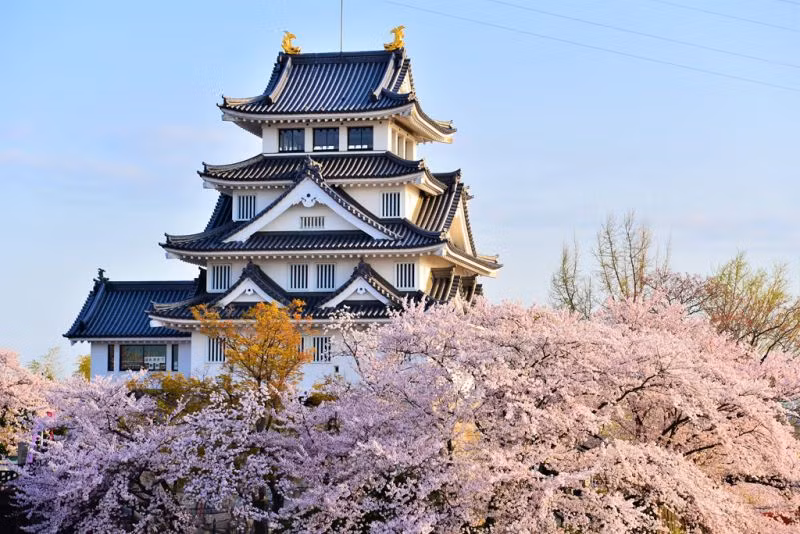 Ky la toa lau dai Nhat Ban xay dung chi trong mot dem