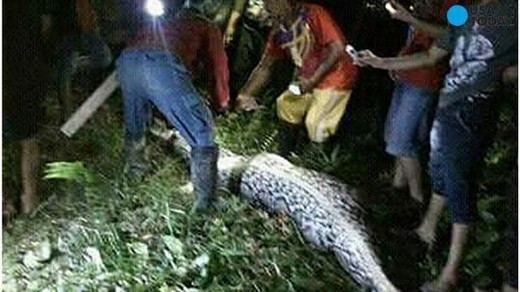 Kinh hai 4 vu tran khong lo nuot nguoi dang so nhat lich su-Hinh-3