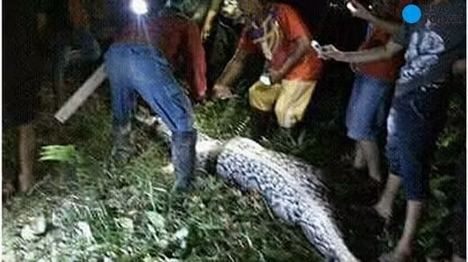 Kinh hai 4 vu tran khong lo nuot nguoi dang so nhat lich su-Hinh-3