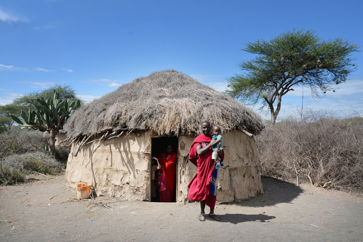 Cuộc sống của bộ tộc Maasai có nhiều điều bất ngờ và thú vị khiến công chúng tò mò. Trong số này, nhiều người không khỏi ngạc nhiên về cách xây nhà của người Maasai.