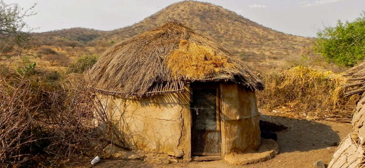 Đặc biệt, khi xây nhà, người Maasai sử dụng đất sét hoặc phân trâu bò đắp lên cành cây tạo thành khung sườn cho ngôi nhà.