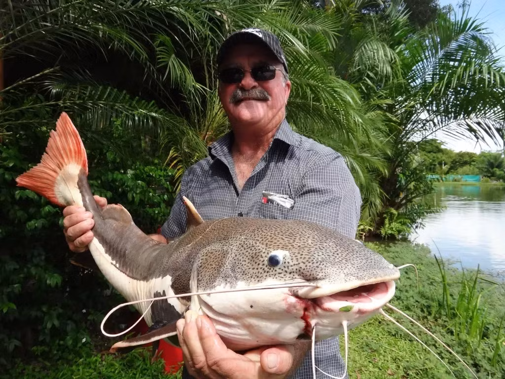 Phat hien thi the ngu dan trong bung 2 con ca sau