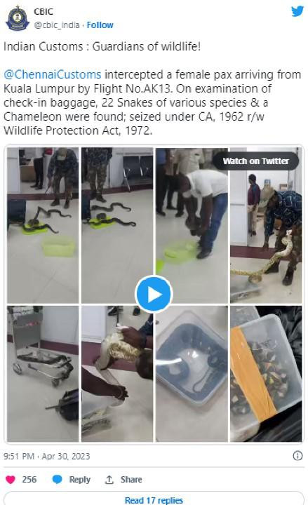 Nguoi phu nu bi bat vi giau hon 20 con ran trong vali-Hinh-2