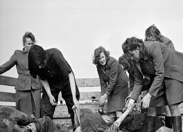 Một số người phụ nữ lạnh lùng vô cảm thu dọn thi thể những tù nhân bị chết trong trại tập trung.