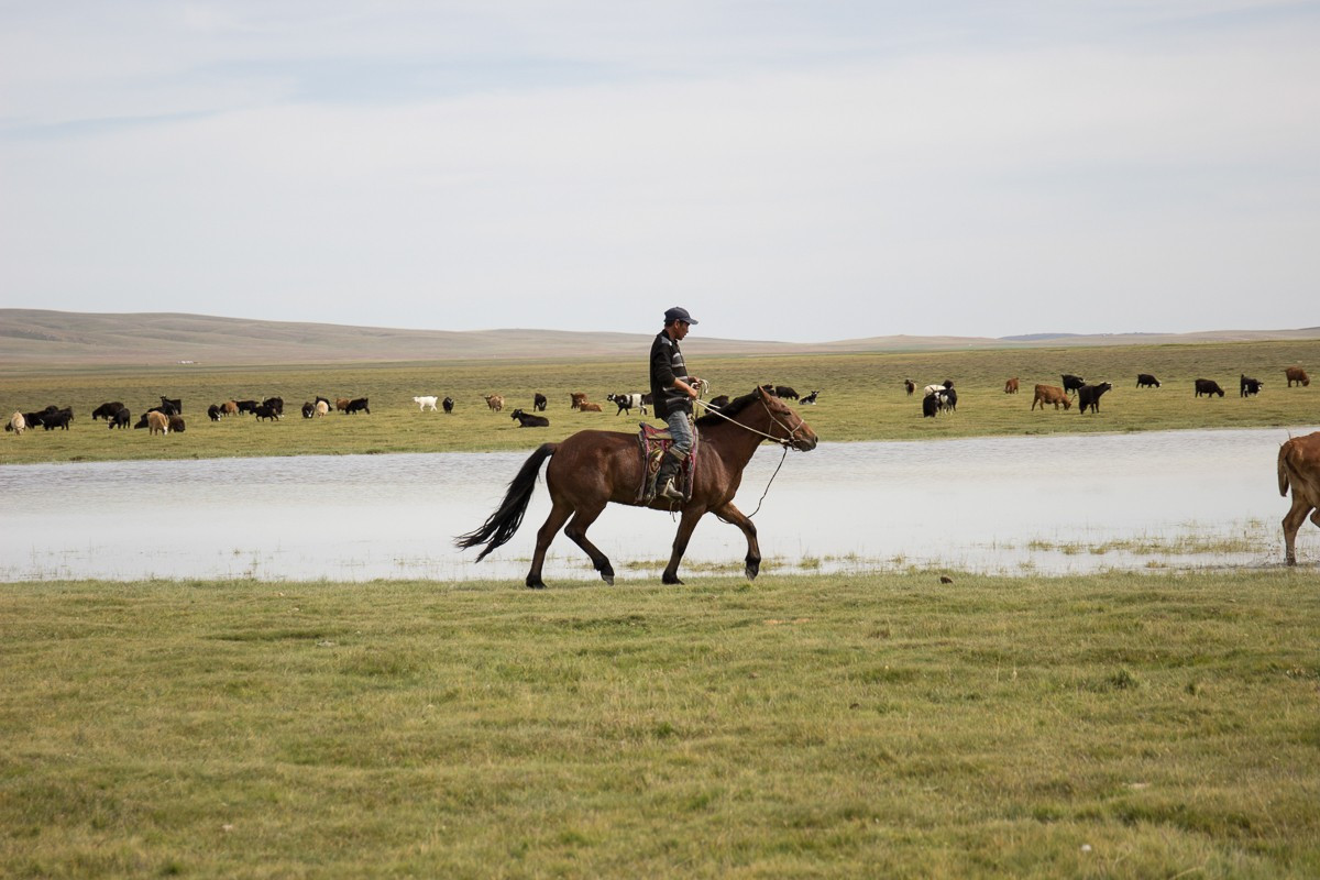 Tình trạng biến đổi khí hậu cùng với cuộc sống hiện đại hóa đã khiến các thảo nguyên ở Mông Cổ bị suy giảm, khiến người chăn gia súc khó tìm kiếm thức ăn cho đàn gia súc của họ và duy trì lối sống cổ xưa.