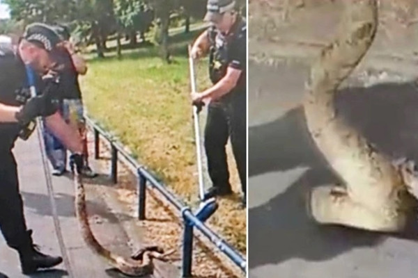 Dung toc gay canh sat bat tran “khung” tren duong dong duc Anh