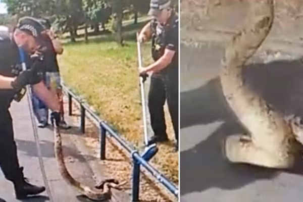 Dung toc gay canh sat bat tran “khung” tren duong dong duc Anh