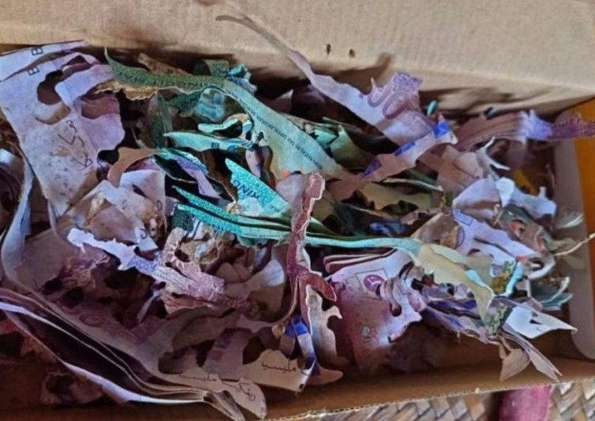 Cat tien tiet kiem trong hop banh, cu ba Malaysia mat trang 150 trieu