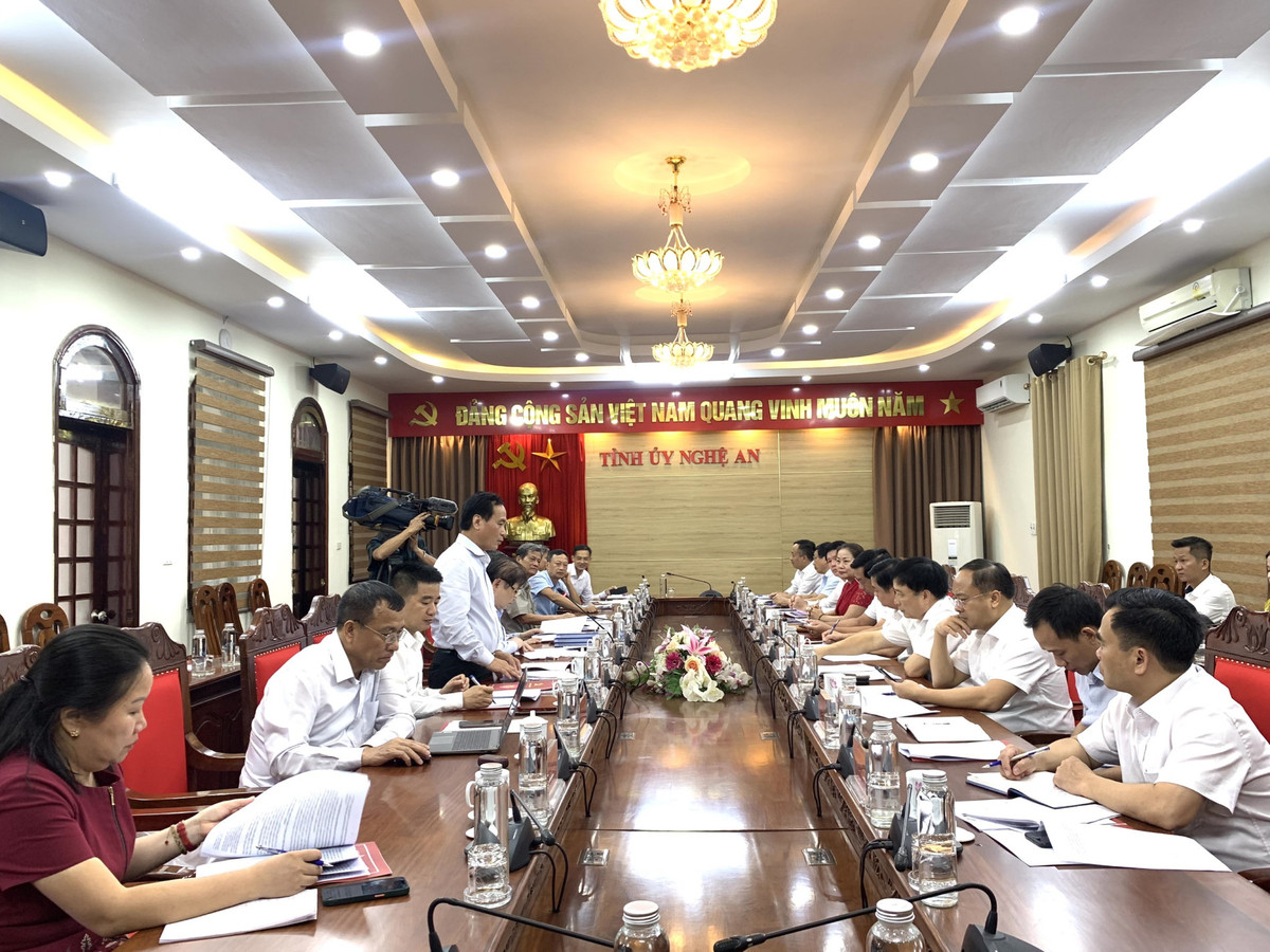 Dang doan Lien hiep Hoi Viet Nam lam viec voi Tinh uy Nghe An-Hinh-4