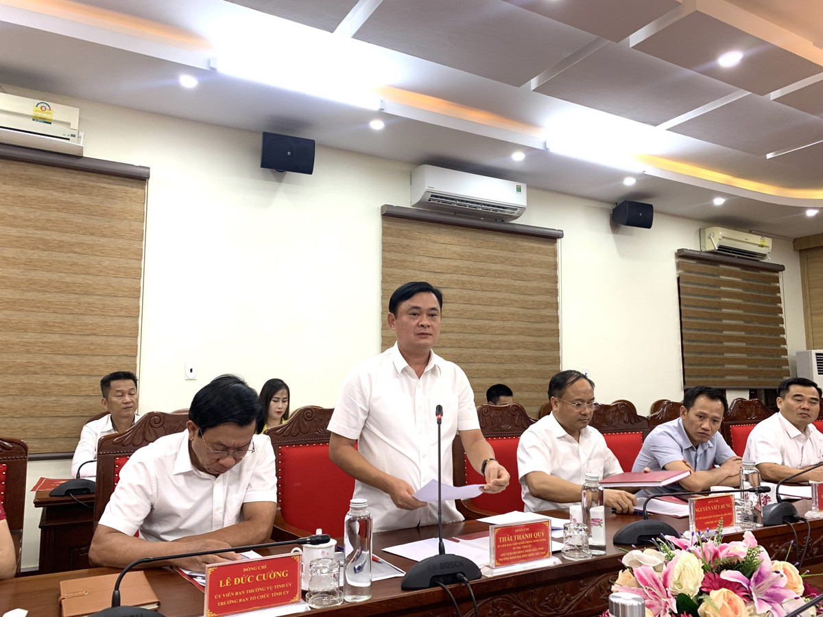 Dang doan Lien hiep Hoi Viet Nam lam viec voi Tinh uy Nghe An-Hinh-2