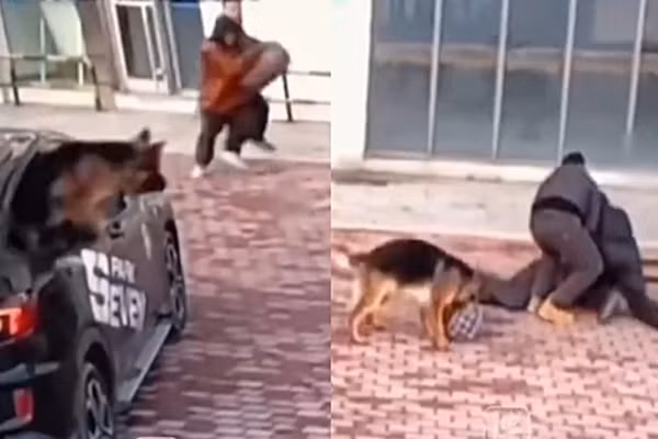 Ong chu bi cuop tien, cho cung lap tuc lao toi ung cuu