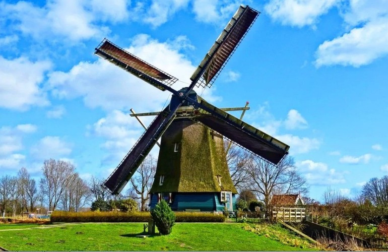Có hơn 1.000 cối xay gió ở Hà Lan: Ở một đất nước nổi tiếng với những chiếc cối xay gió, không có gì ngạc nhiên khi có hơn 1.000 chiếc cối xay gió trải khắp Hà Lan. Theo truyền thống, các cối xay gió khai thác gió cho nhiều mục đích khác nhau như xay hạt và thoát nước cho các vùng đất ngập nước.