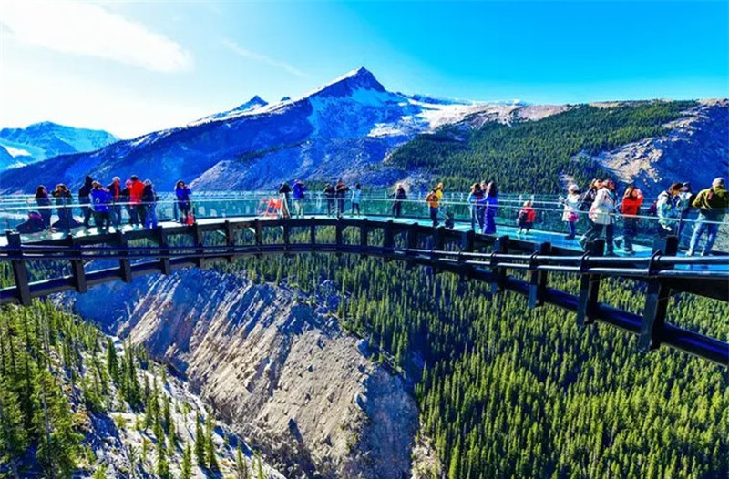Cầu Glacier Skywalk ở Alberta mang lại cho khách tham quan cảnh quan ngoạn mục ở dãy núi Rocky ở Canada. Cầu có lối đi bằng kính.