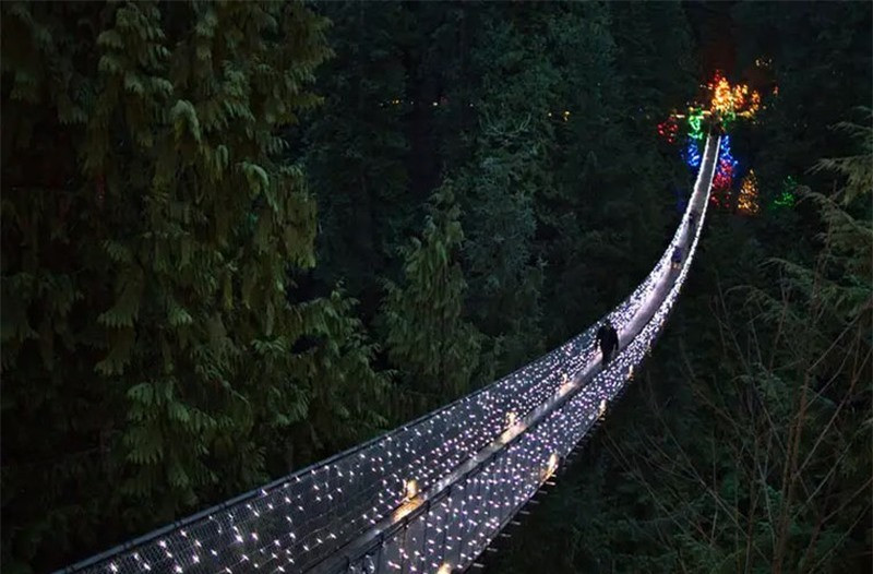 Ẩn mình trong một khu rừng ở Canada, cầu treo Capilano Suspension ở Bắc Vancouver, British Columbia là một trong những địa điểm hoàn hảo nhất cho những người thích tìm cảm giác mạnh. Cầu được xây vào năm 1889, dài 134m.