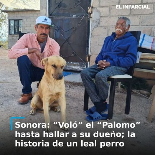 Mat tich mot tuan, cu ong 84 tuoi duoc cuu song nho cho cung-Hinh-2