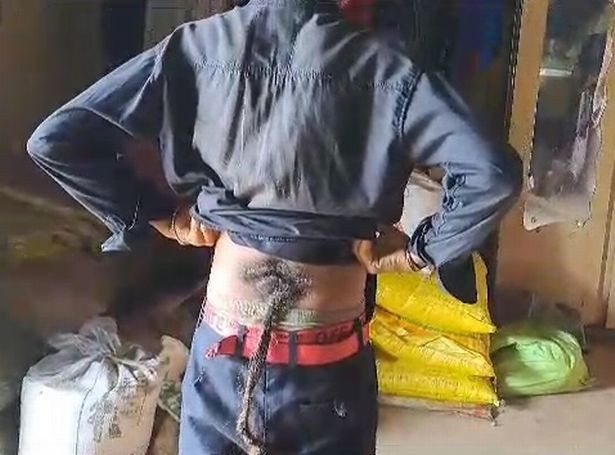 Thieu nien co duoi dai 60cm duoc ton la “than khi Hindu”-Hinh-2