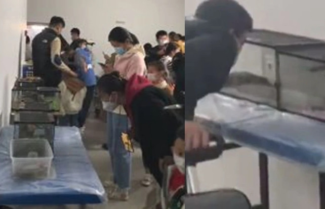 Dua con di thuy cung choi, ba me soc nang khi vao ben trong