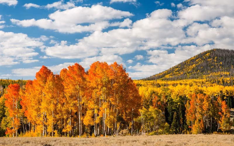 Nao long truoc mua thu la vang tuyet dep cua nuoc Nga-Hinh-9