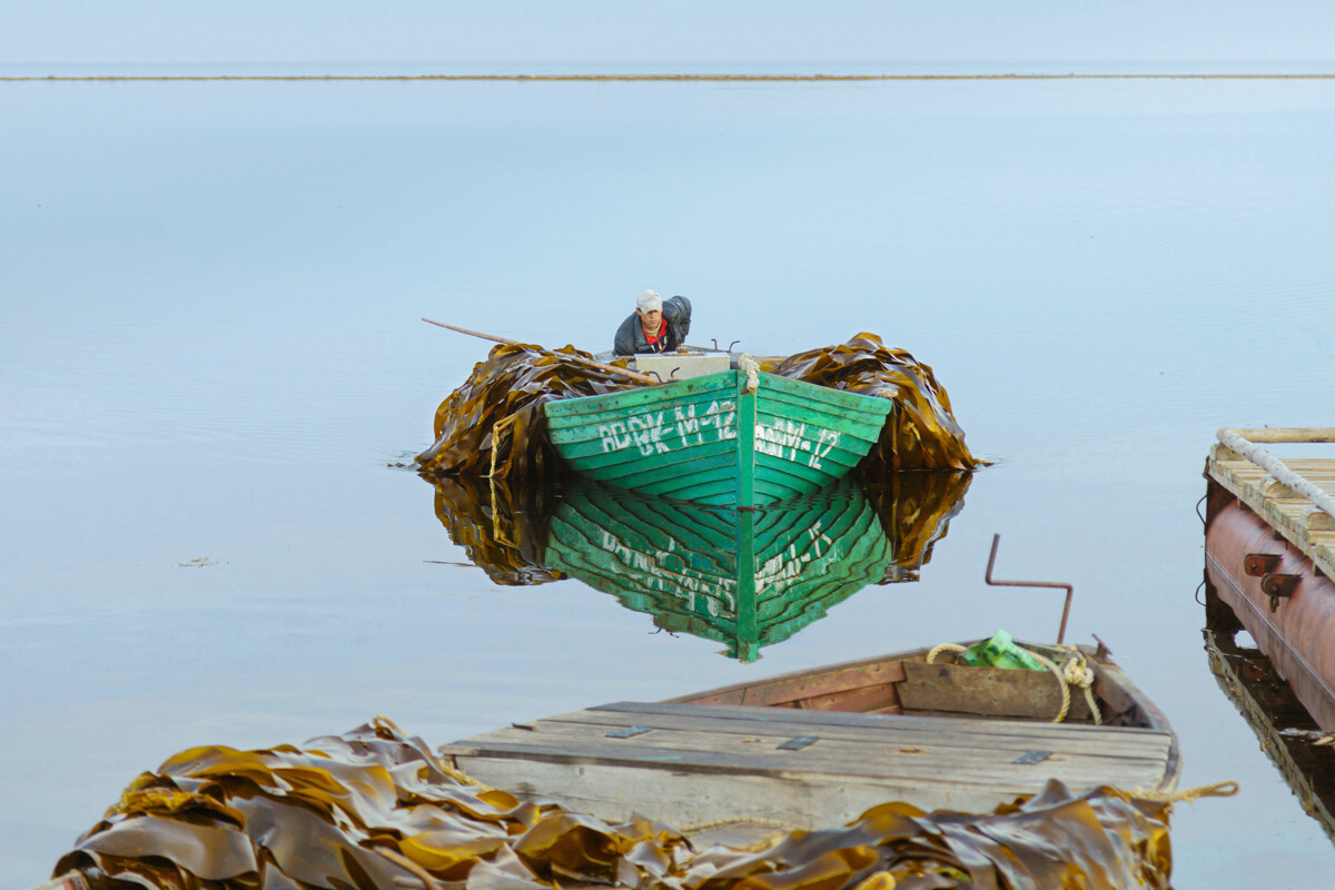 Trong điều kiện khắc nghiệt của Bắc Cực, hai loại rong biển laminaria và fucus mọc rất tốt ở địa điểm này. Giống như hàng trăm năm trước, chúng vẫn được thu hái bằng tay.