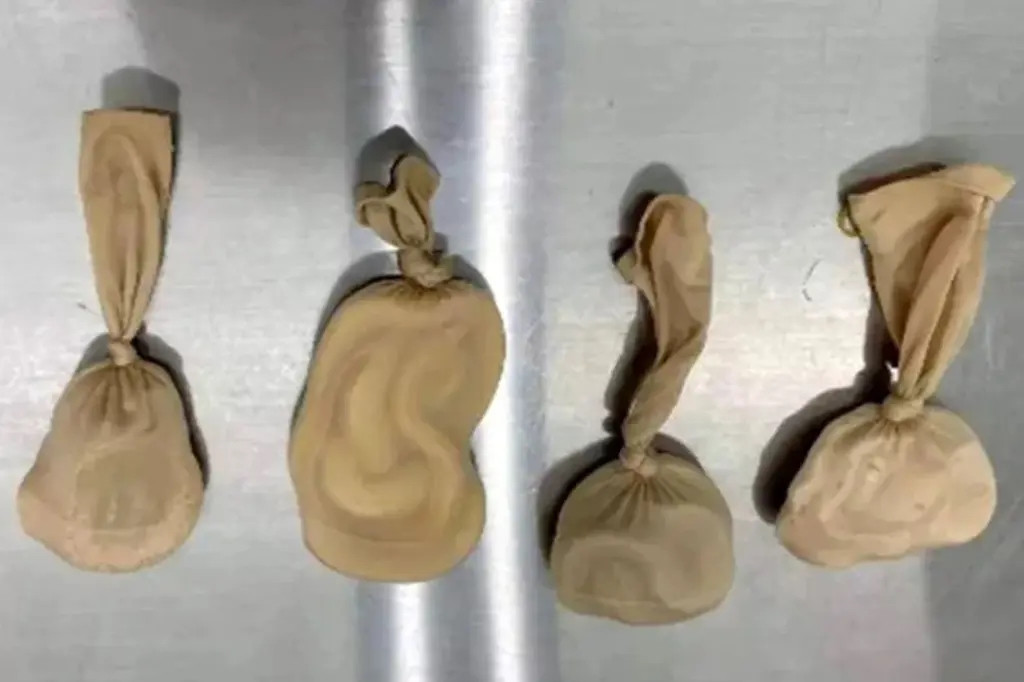 Bi bat o cua khau vi giau 5 con ran song trong ao nguc-Hinh-2