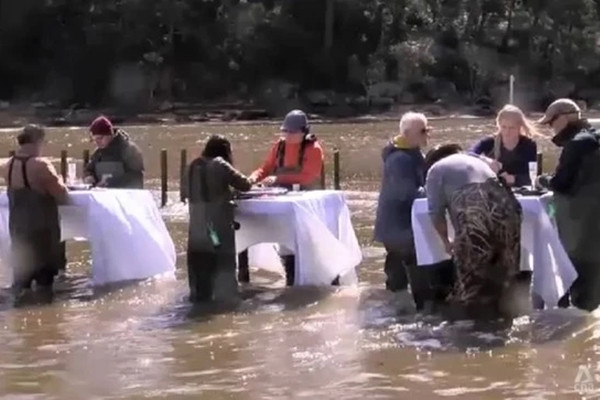 Nhà hàng cho thực khách vừa lội nước vừa ăn hàu trên sông Nha hang cho thuc khach vua loi nuoc vua an hau tren song