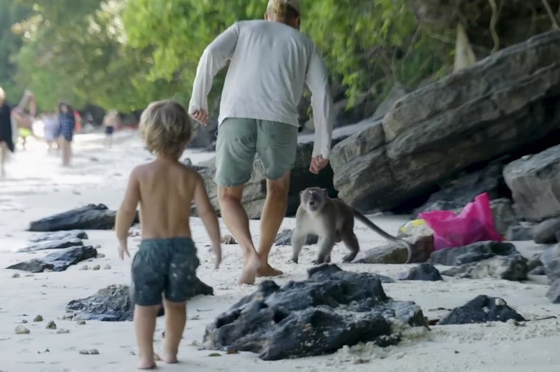 Ong bo dung cam cuu con trai bi bay khi tan cong-Hinh-3