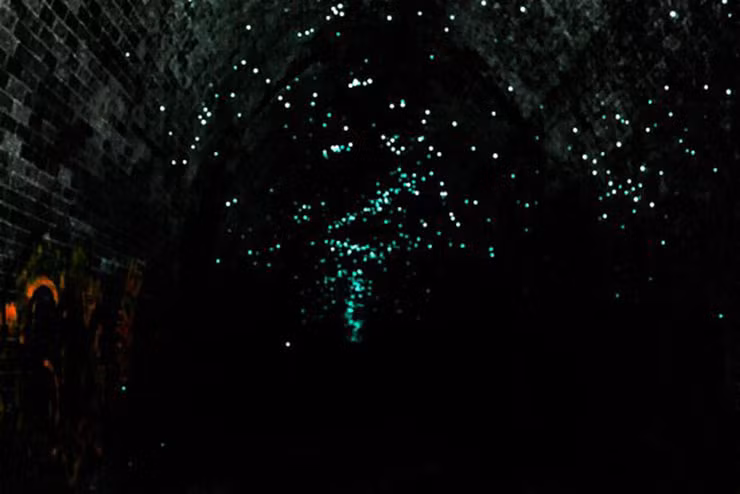 Du khach to mo do xo toi duong ham dom dom Helensburgh-Hinh-11