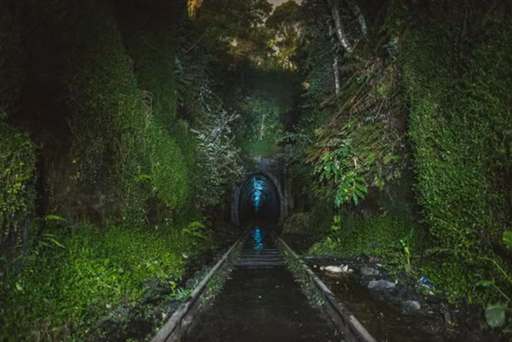 Du khach to mo do xo toi duong ham dom dom Helensburgh-Hinh-8