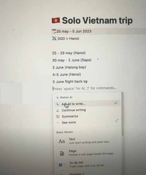 Co gai nguoi Singapore nho AI len ke hoach du lich Viet Nam-Hinh-2