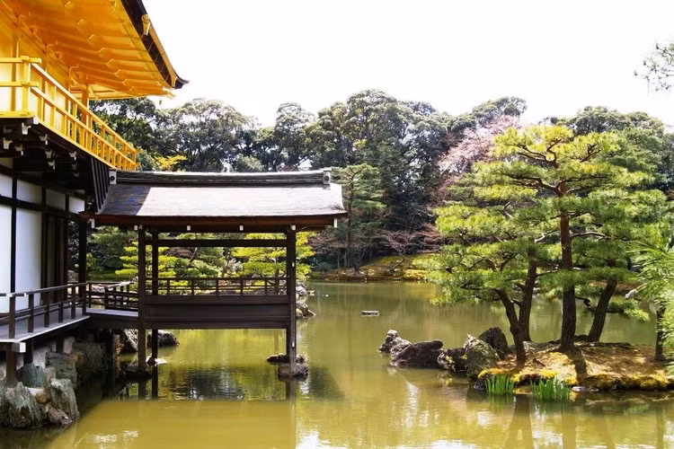 Bên cạnh đó, kiến trúc xung quanh chùa vàng cũng sẽ khiến cho du khách cảm giác kinh ngạc bởi sự thiết kế quá đỗi tài hoa và khéo léo, sự hài hòa giữa thiên nhiên với con người có thể đạt đến mức chân thiện mĩ.