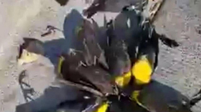 Canh chim dau kin den tren duong pho Mexico canh bao “khung hoang”-Hinh-2