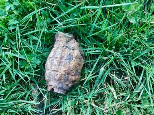 Me “hu via” vi con trai nhat duoc luu dan chua no trong vuon-Hinh-2