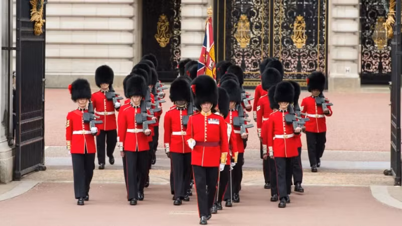 Đội cận vệ Hoàng gia Anh sử dụng mũ lông gấu trong những sự kiện quan trọng như các nghi lễ của Hoàng gia Anh, diễu hành hàng năm nhân ngày sinh nhật của Vua, lễ cưới của các hoàng tử...