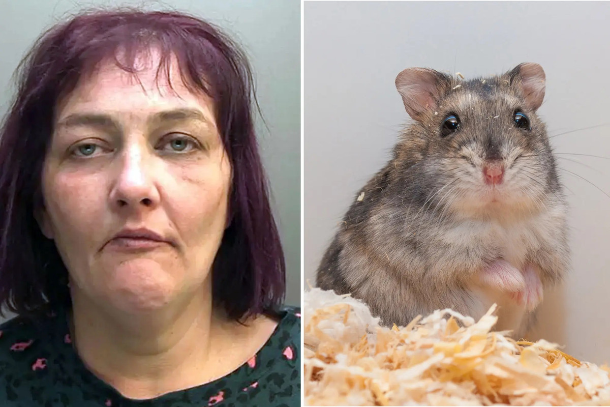 Giet thit thu cung, nguoi phu nu bi ngoi tu 1 nam