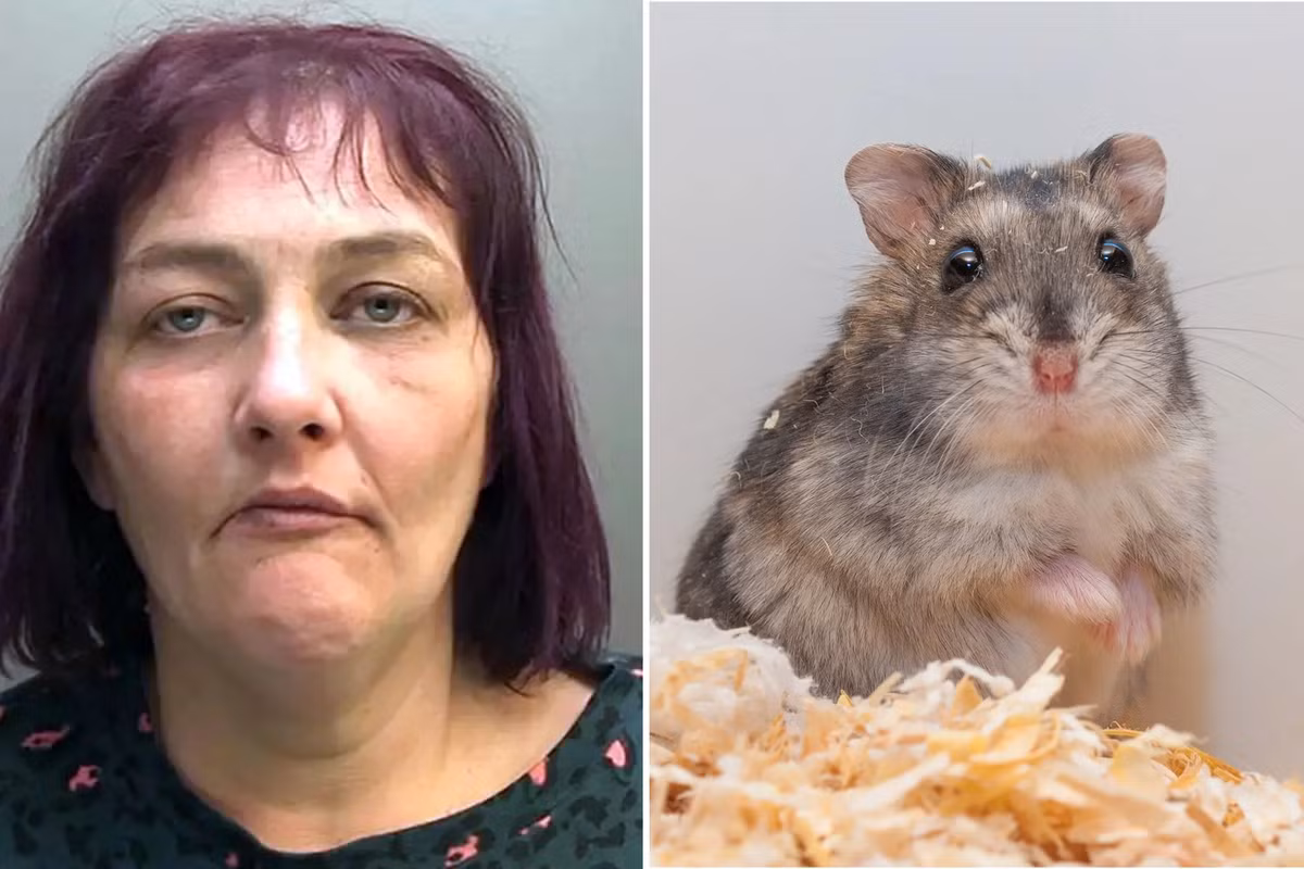 Giết thịt thú cưng, người phụ nữ bị ngồi tù 1 năm Giet thit thu cung, nguoi phu nu bi ngoi tu 1 nam