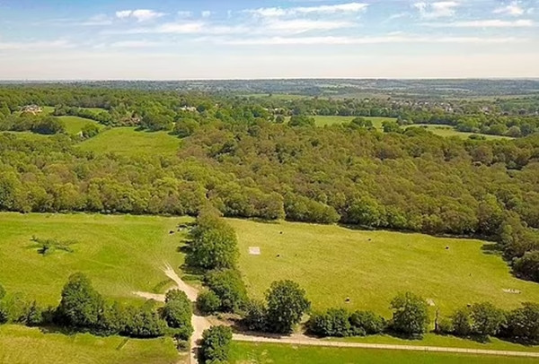 Triệu phú Anh hầu toà vì chặt hơn 100 cây xanh xây biệt thự - Hình 2 Trieu phu Anh hau toa vi chat hon 100 cay xanh xay biet thu-Hinh-2