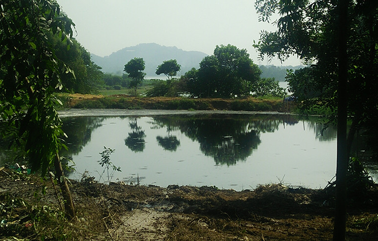 Ghi nhận PV Kiến Thức vào sáng ngày 30/10, hồ nước này có dấu hiệu đã được nạo vét.